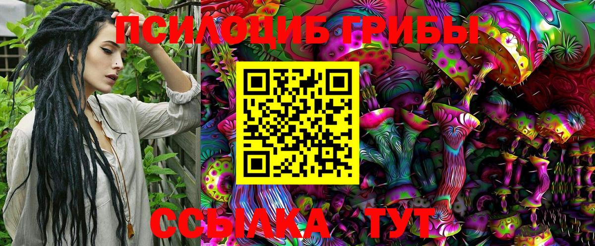 Кудрово  купить закладку  Вход с VPN  Псилоцибиновые грибы MAGIC MUSHROOMS 